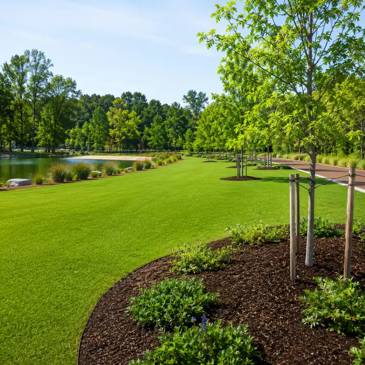 AM Developers LLC delivered commercial finish grading, topsoil amending, level lawn preparation, and planting-bed soil improvement in Reston