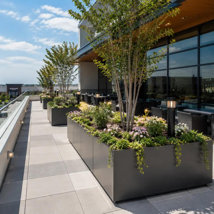AM Developers LLC installed rooftop structural planters with large format containers, integrated irrigation, tree plantings, and elevated plaza landscaping in Gaithersburg MD