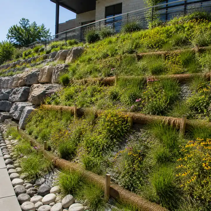 AM Developers LLC installed slope erosion control planting with vegetative ground covers, bio-logs, and erosion stabilization features in Tysons VA